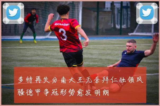 多特再失分南大王无奈拜仁独领风骚德甲争冠形势愈发明朗