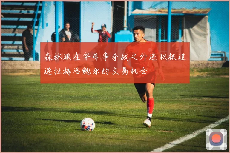 森林狼在字母争夺战之外还积极追逐拉梅洛鲍尔的交易机会