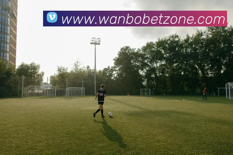 万博体育平台生态图